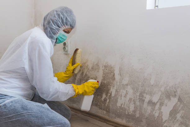 Best Residential Mold Removal  in Lindsay, CA
