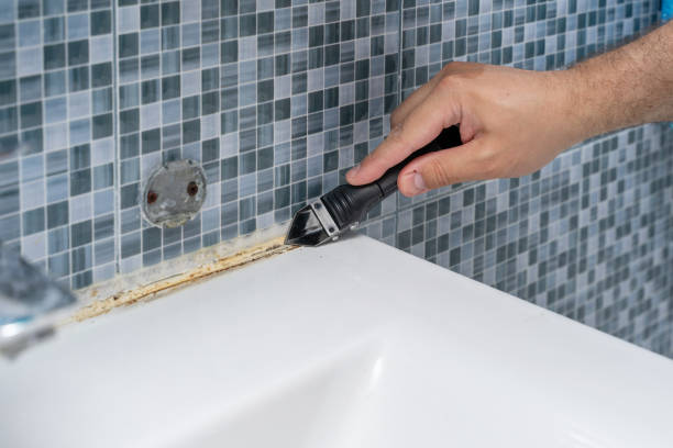 Best Mold Testing  in Lindsay, CA